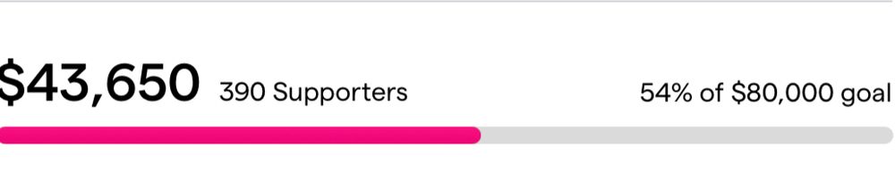 A pink progress bar is about halfway complete. Text: "$43,650 390 Supporters. 54% of $80,000 goal"