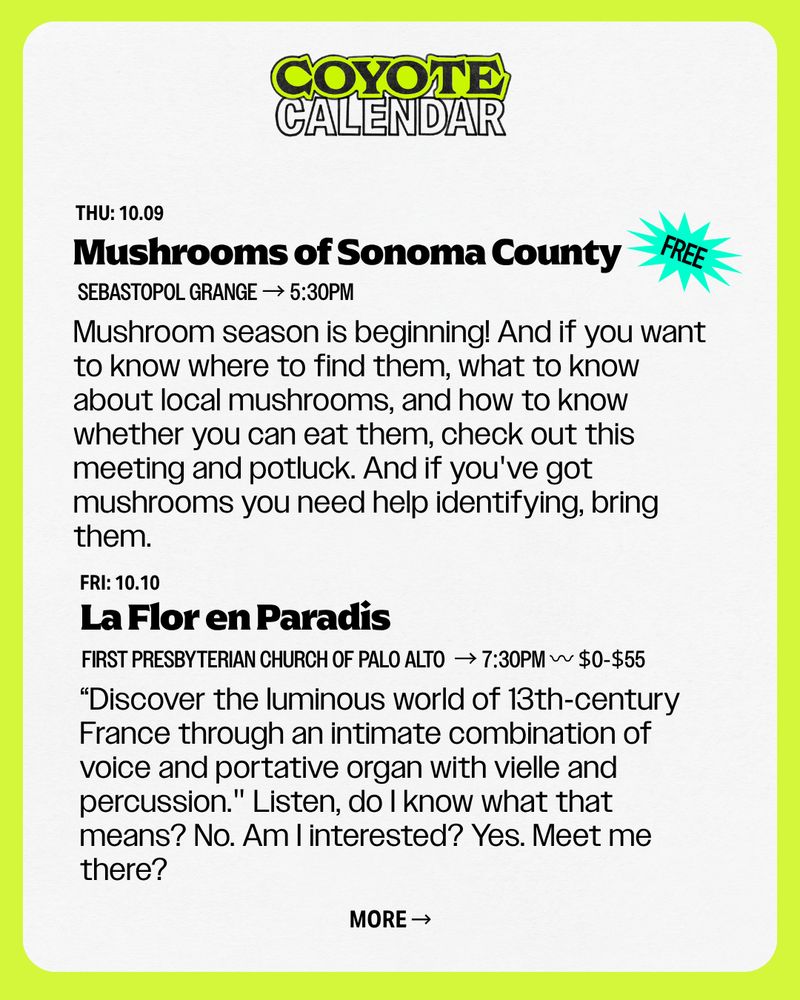 text: Mushrooms of Sonoma County (free!)
Mushroom season is beginning! And if you want to know where to find them, what to know about local mushrooms, and how to know whether you can eat them, check out this meeting and potluck. And if you've got mushrooms you need help identifying, bring them.
THU: 10.09
sebastopol grange → 5:30PM
FRI: 10.10
La Flor en Paradis
First Presbyterian Church of Palo Alto  → 7:30PM 〰 $0-$55
“Discover the luminous world of 13th-century France through an intimate combination of voice and portative organ with vielle and percussion." Listen, do I know what that means? No. Am I interested? Yes. Meet me there?