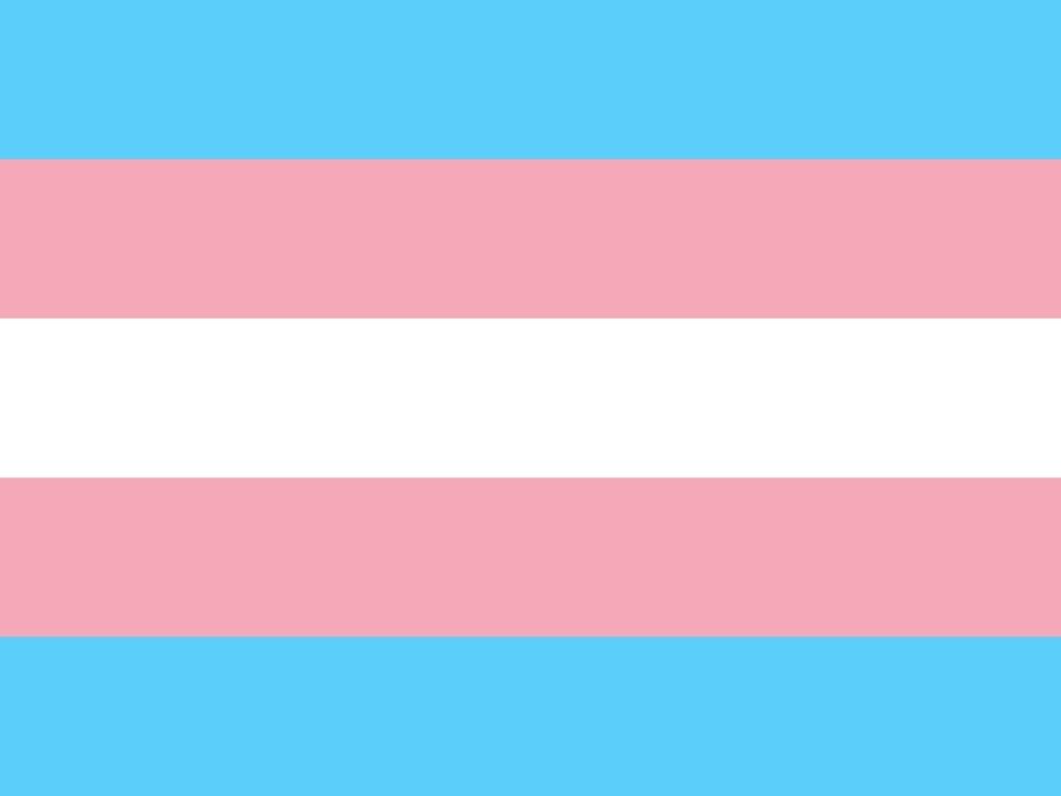 Transgender flag.
Transgender: individuals who feel as if born as the wrong gender and wishes to be a different one than assigned at birth.