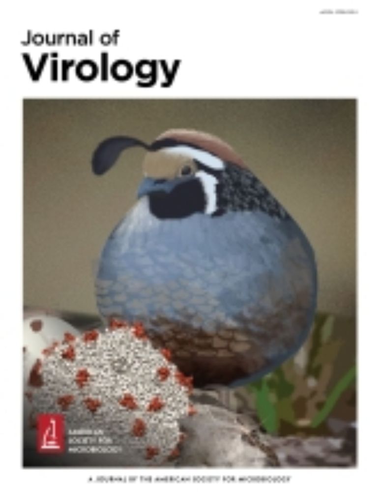 The harms of promoting the lab leak hypothesis for SARS-CoV-2 origins without evidence | Journal of Virology