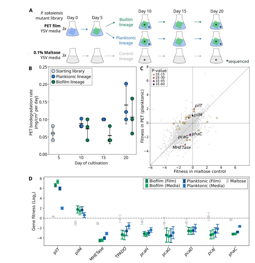 Figure 2. PET screen results and RB-TnSeq gene fitness results