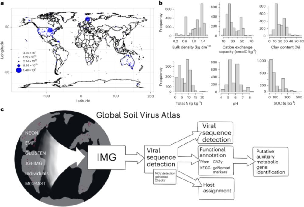 A global atlas of soil viruses reveals unexplored biodiversity and potential biogeochemical impacts - Nature Microbiology