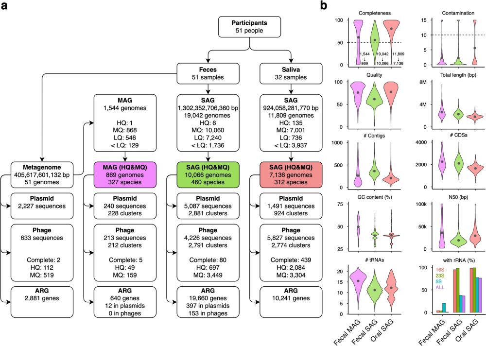 A single amplified genome catalog reveals the dynamics of mobilome and resistome in the human microbiome - Microbiome