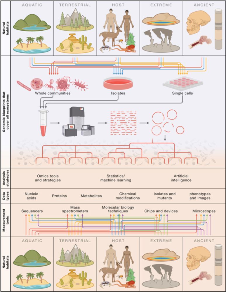 Modern microbiology: Embracing complexity through integration across scales