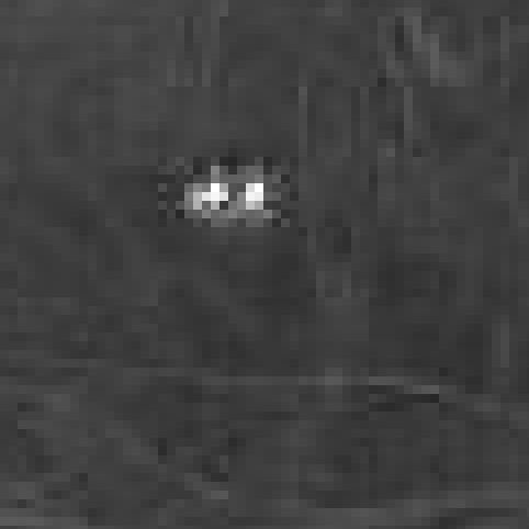 Extremely pixelated crop of one of the original post images showing little glowing owl eyes in the background