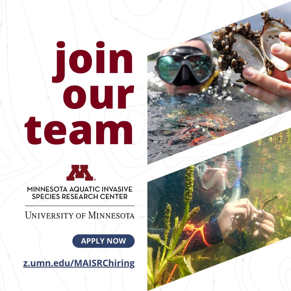 Two photos of researchers in a lake with AIS. Text says "Join our team", with our logo and a link: z.umn.edu/MAISRChiring