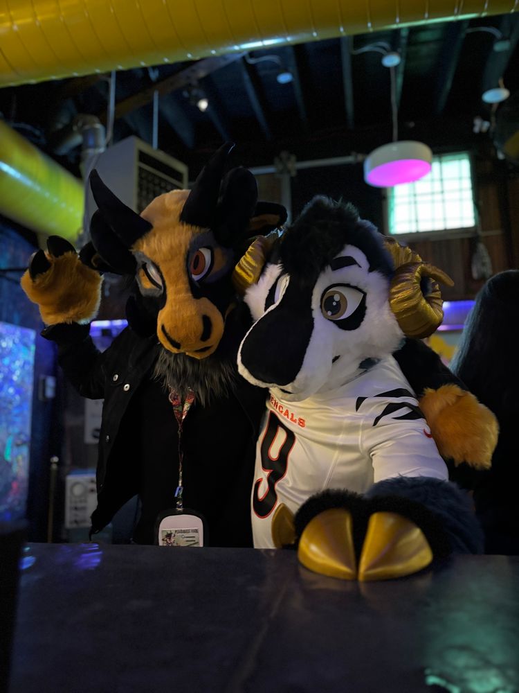 Two rams walk to a bar…
