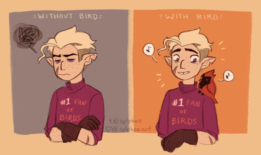 two drawings of hunter wearing a sweater that says "#1 fan of birds". the left one has the text "without bird" on top with hunter looking irritated. the right one has the text "with bird" and flapjack is now sitting on hunter's shoulder.
