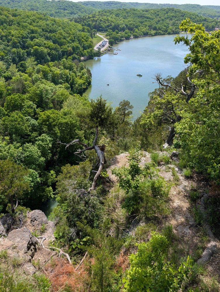 A view from the cliff. We are looking down a bit and out, looking at the side of the cliff, which is full of greenery, and down on the lake, which is reflecting the blue sky and white clouds