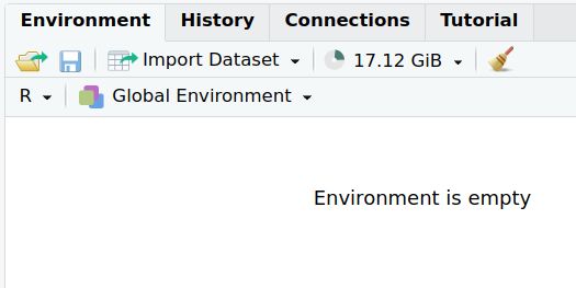 Screenshot of RStudio, showing that the environment is empty but that 17.12 GiB of RAM is being used.