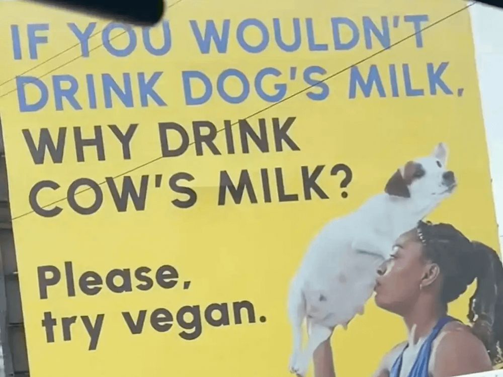 "If you wouldn't drink dog's milk, why drink cow's milk? Please, try vegan."