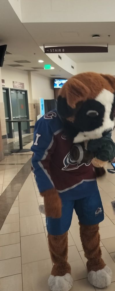 A dog with a toy animal in his mouth