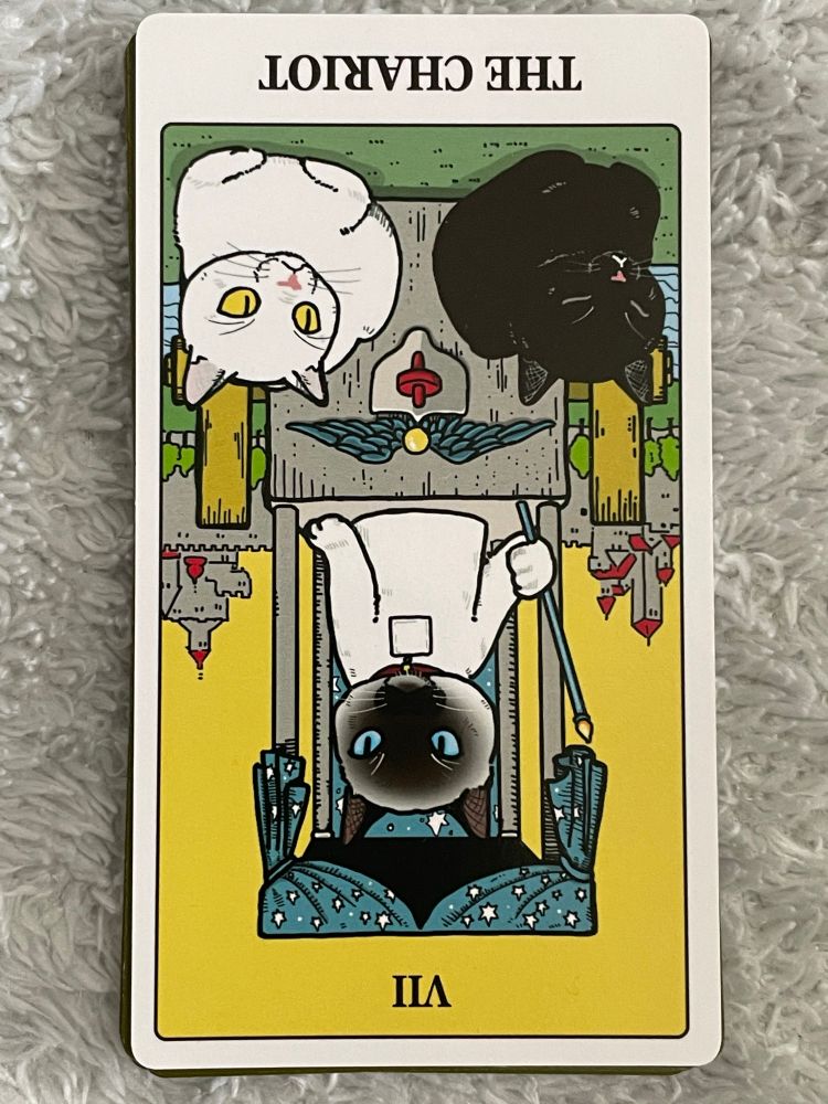 タロットカードの戦車、逆位置。シャムねこが錫杖を持って輿に乗っているけれど、それを引く白と黒のねこは無視して香箱座りしている。白ねこの目は金、黒猫はねているので目の色はわからない。