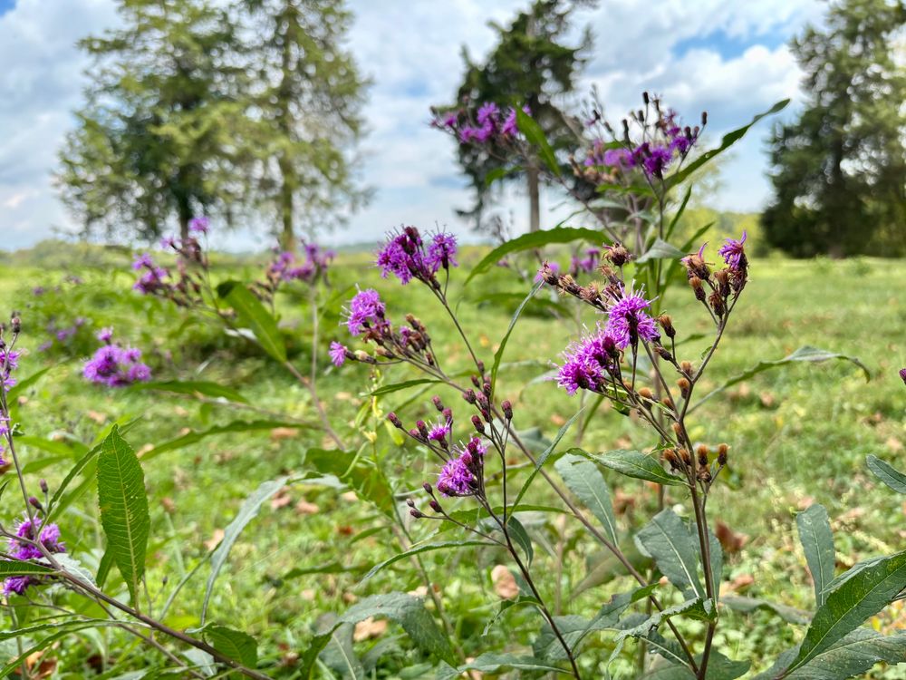 Nature does what it wants always and doesn’t care what MAGA thinks.