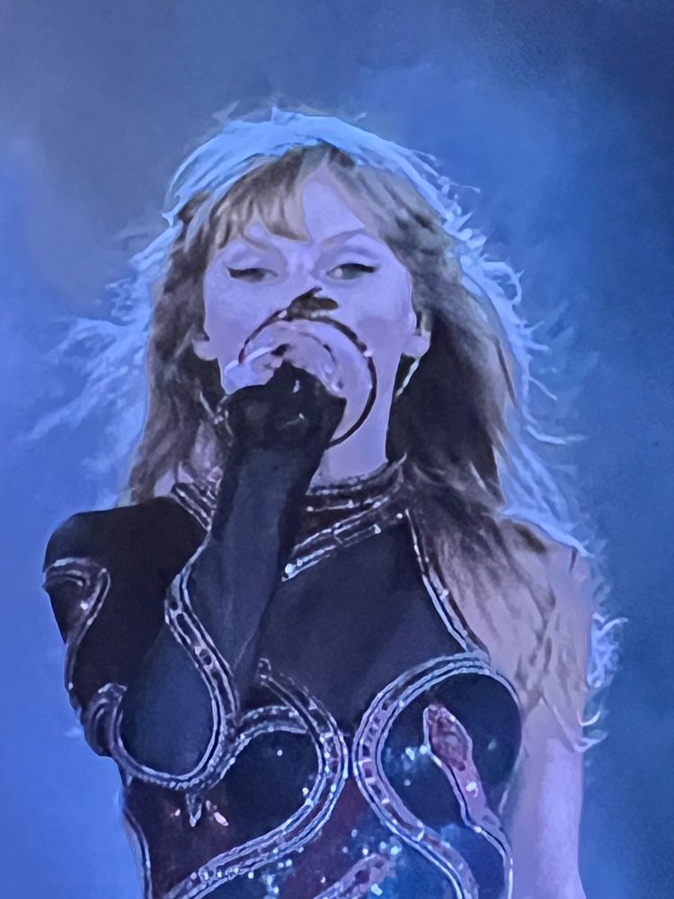 Taylor Swift at the eras tour during her reputation era performing don’t blame me 