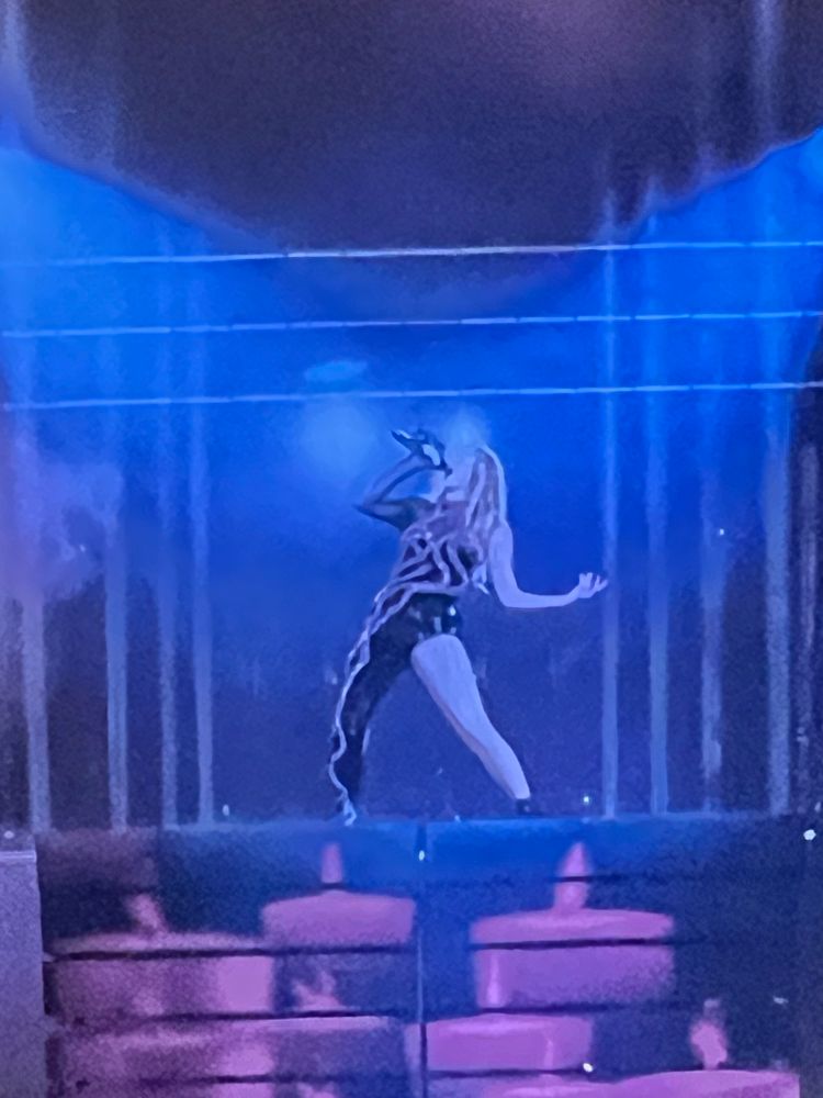 Taylor Swift at the eras tour during her reputation era performing don’t blame me 