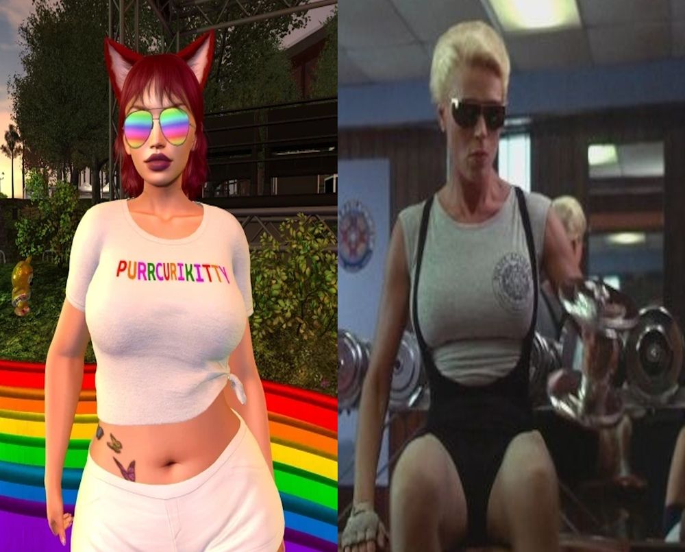 Left side is a neko woman. Right side is Sargent Callahan from Police Academy movie has a fun comparison.