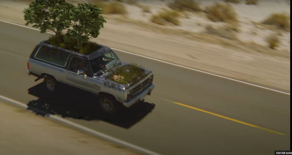 An old hatchback drives down a desert road. Plants are growing on the car's hood and trees are growing from the top of it as well