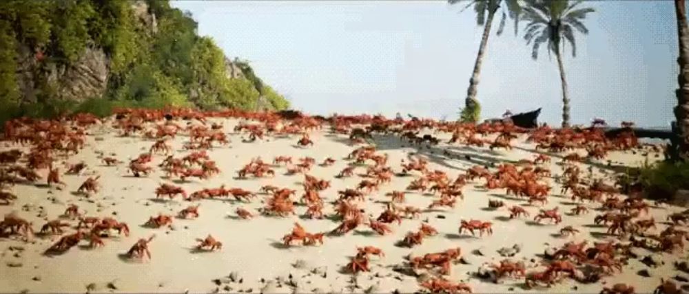 Crabs Rave GIF