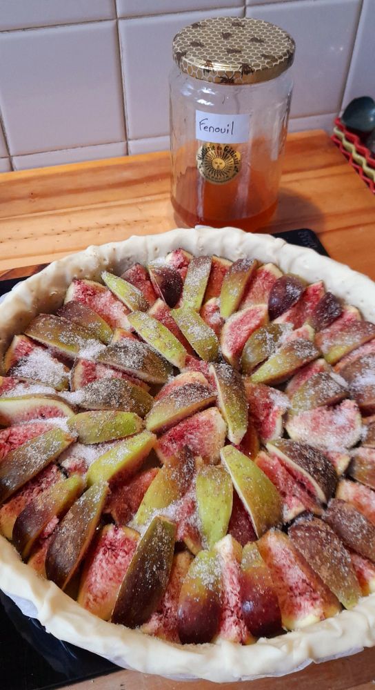 Une tarte aux figues blanches non encore cuite.
La pâte a été copieusement enduite de miel au fenouil. La première rangée de figues est disposée intérieur du fruit vers le haut. Pour la 2eme rangée, c'est la peau qui est vers le haut.
Saupoudrée d'épices pour pain d'épices, et de sucre. 