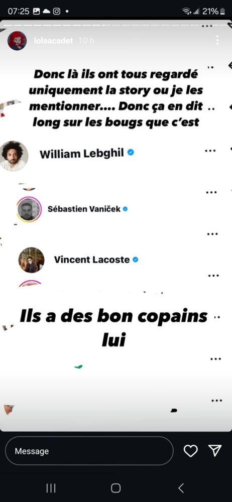 Capture d'écran montrant que certaines des personnes mentionnées ont regardé les storys de Lola 
En l'occurrence william lebghil, Sébastien vanicek, Vincent lacoste