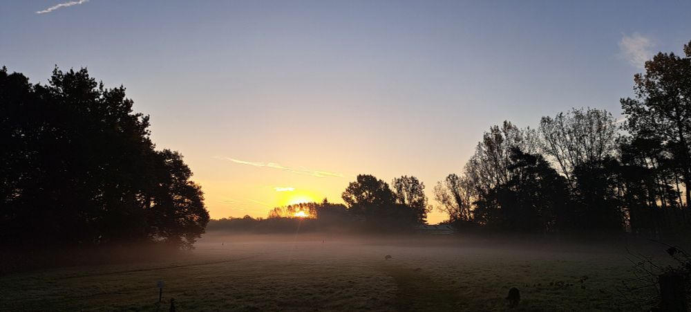 Misty field at sunrise. Norfolk