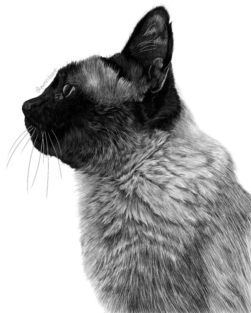 Digital pen portrait of a cat.