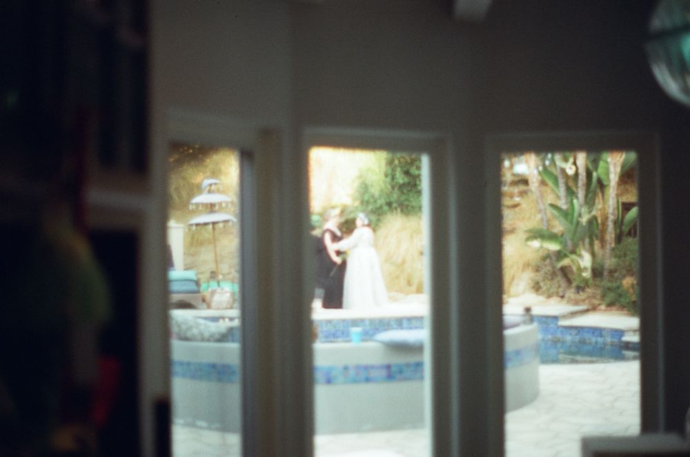 Our first look photos through the window.