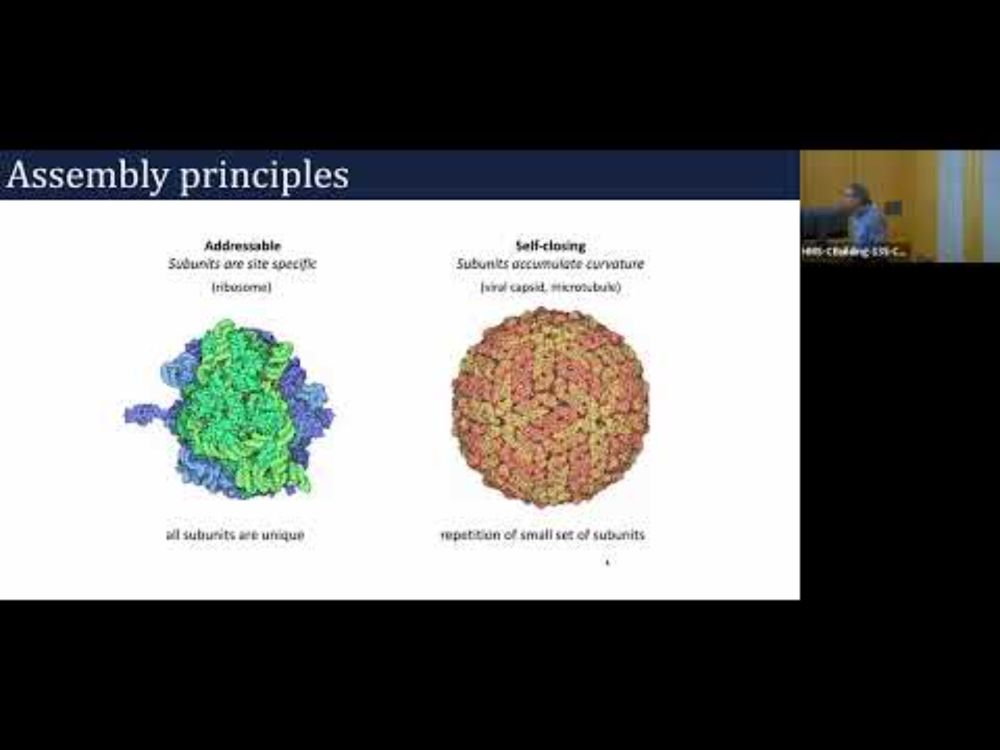 From DNA Origami to Protein Design: Symmetry-Guided Principles Across Scales