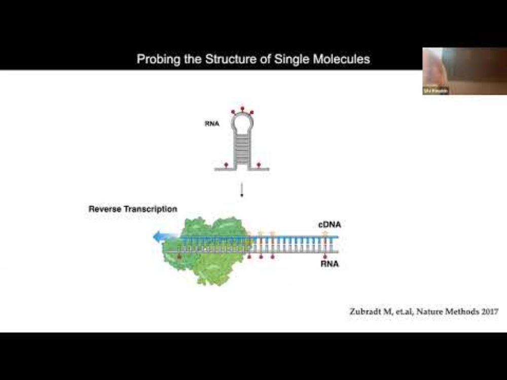 RNA Function, Design, and Modeling