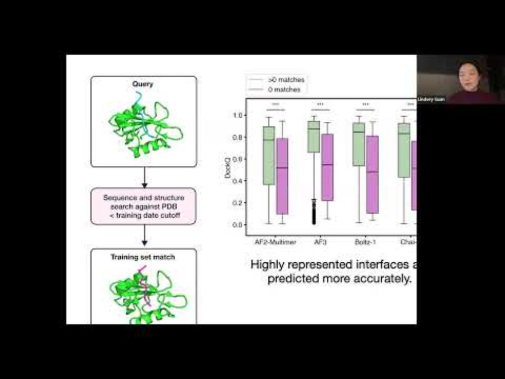 Interpreting state-of-the-art structure predictors for protein-peptide complexes