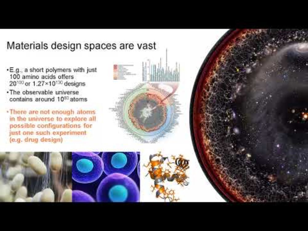 Physics-aware agentic artificial intelligence to model, design and discover proteins