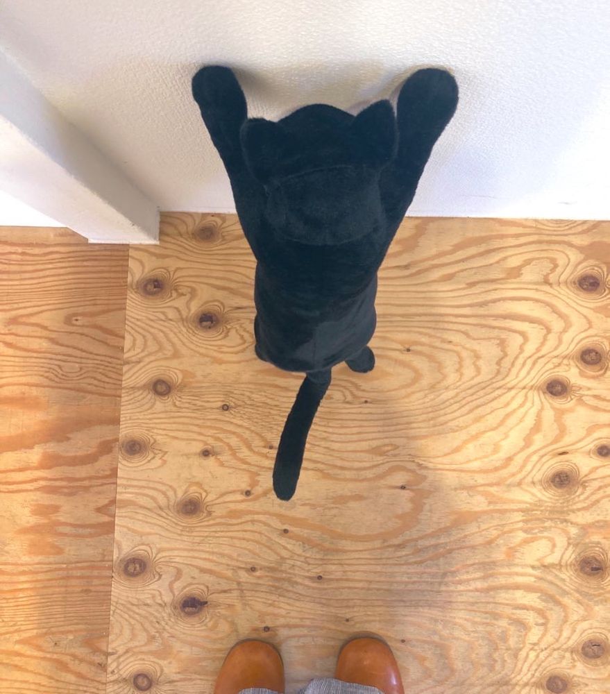 necoya books2階ギャラリーで働いていた等身大の黒猫ぬいぐるみを上から見たところ。