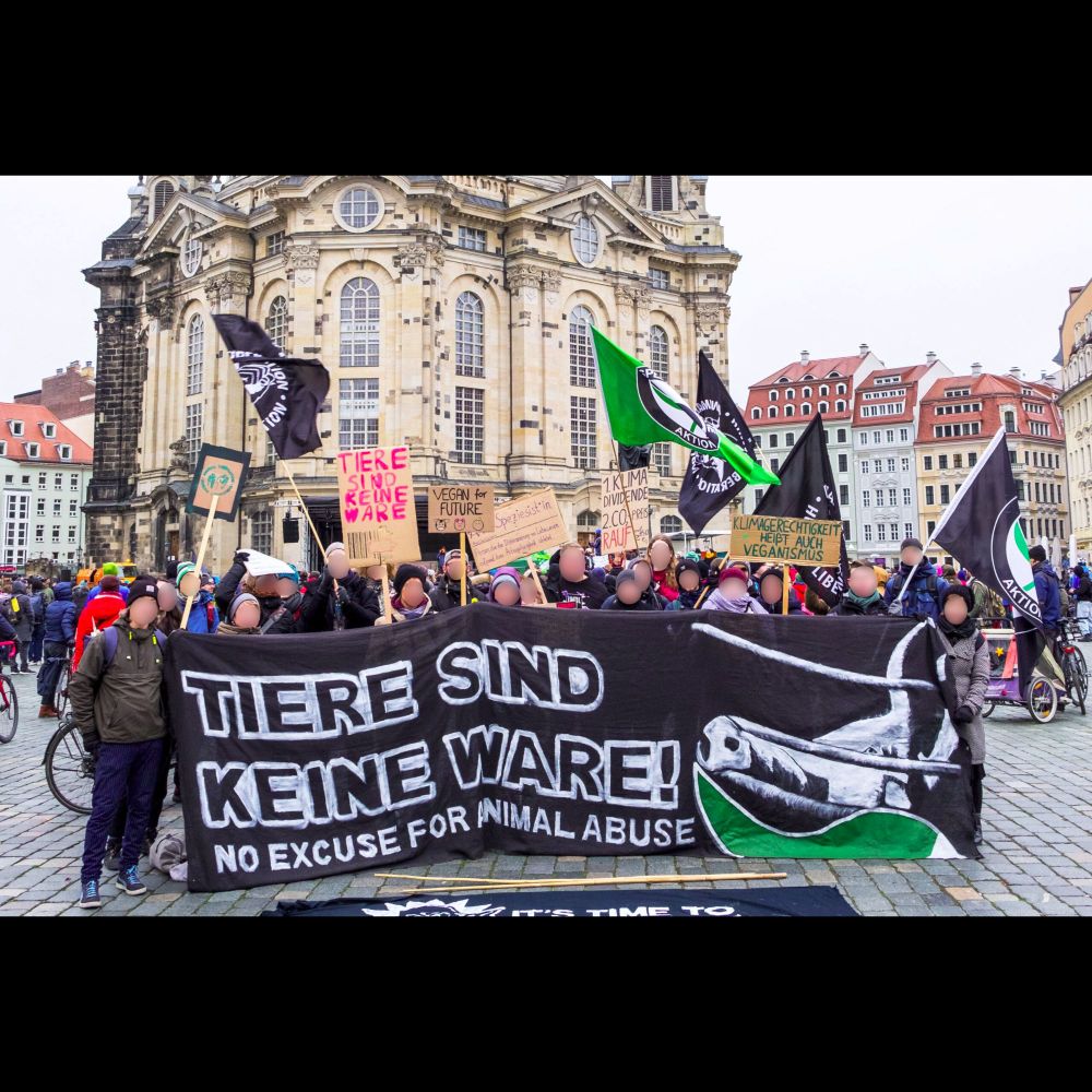 Antispe-Vernetzung formiert sich in Dresden – Ein Jahresrückblick