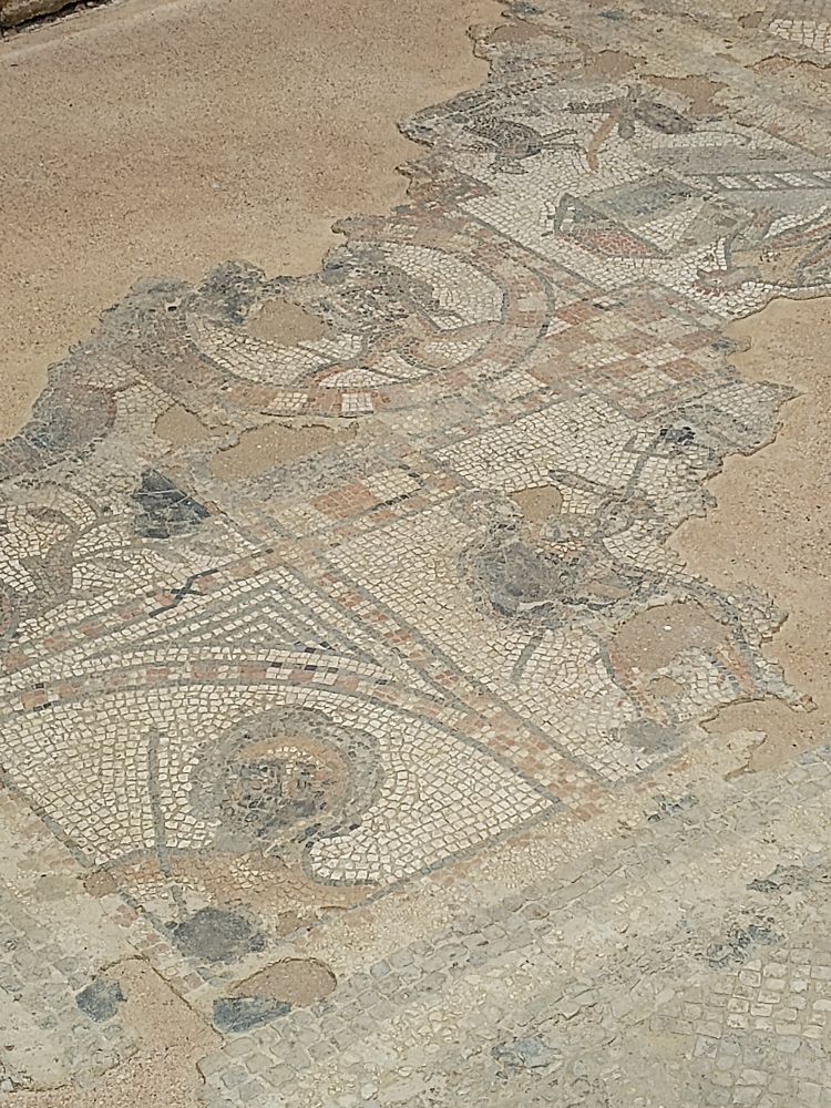 Aged mosaic floor with intricate geometric and circular patterns in earth tones. The tiles are worn and broken due to tree roots