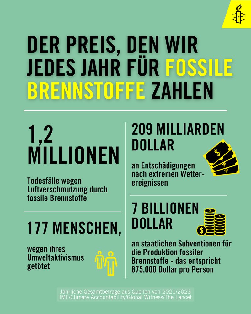 Infografik zu 'Preis' von fossilen Brennstoffen.