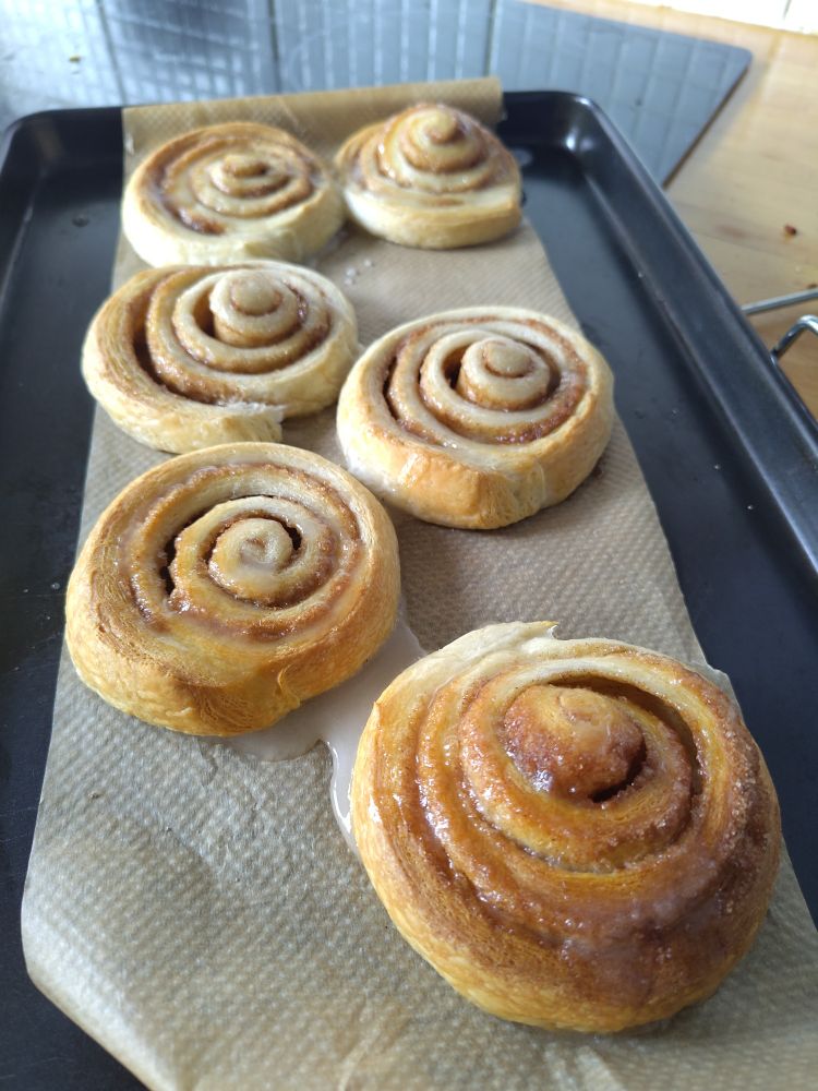 A baking tray full of freshly baked cinnamon swirls