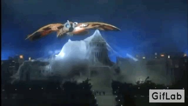 a moth with a blue eye is flying in the air