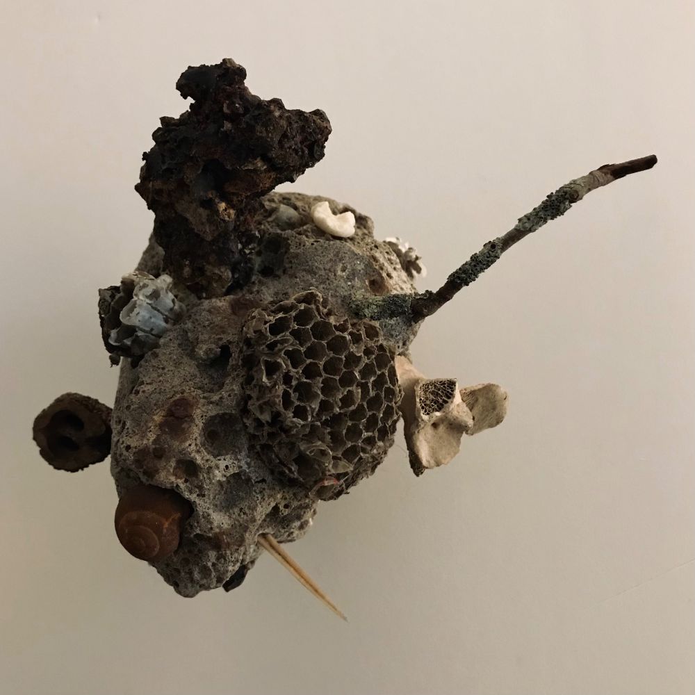 In the studio.  Work in progress.
Oracle (Living Organism)
An accretion of bone, shell, crystal, iron, seed pods, lichen covered twigs, and wasps nests on concrete.
Ongoing. 2025. 
