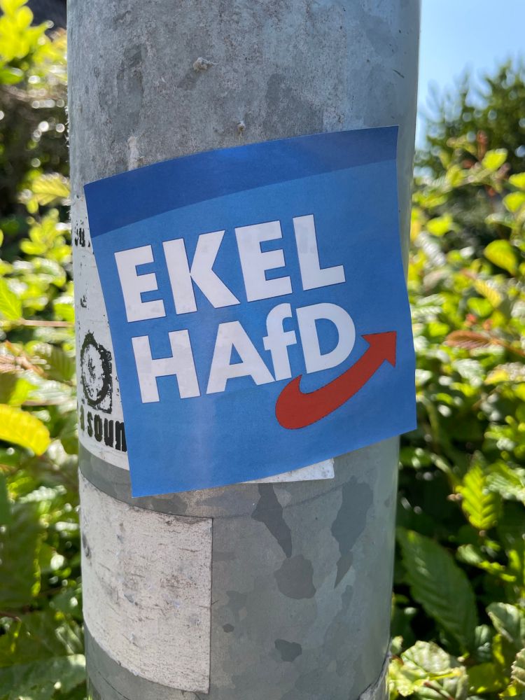 Ein Aufkleber auf einer Laterne mit der Aufschrift „EkelHAfD“, gehalten mit dem Logo und Farben der AfD. 
