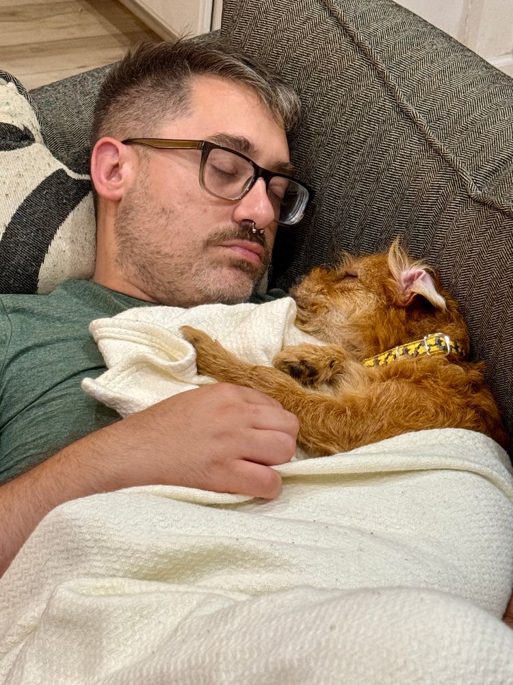 Robin asleep on the couch with our new dog Elsie