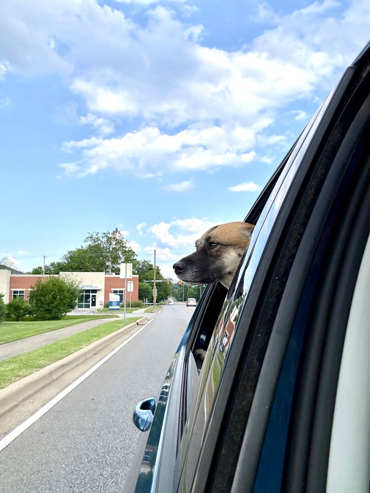 Patsy out the window of Robin’s car