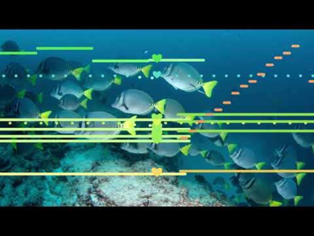 Windstepper - An Aquatic Introduction