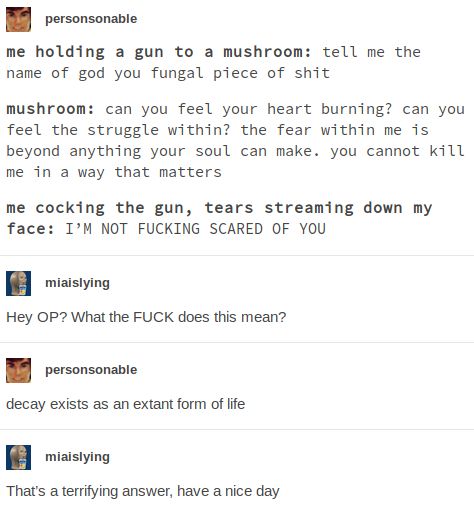 me holding a gun to a mushroom: tell me the name of god you fungal piece of shit

mushroom: can you feel your heart burning? can you feel the struggle within? the fear within me is beyond anything your soul can make. you cannot kill me in a way that matters

me cocking the gun, tears streaming down my face: I’M NOT FUCKING SCARED OF YOU

In a series of replies that often accompanies screenshots of the post, personsonable explains that meaning behind the story:

miaislying: Hey OP? What the FUCK does this mean?

personsonable: decay exists as an extant form of life

miaislying: That’s a terrifying answer, have a nice day