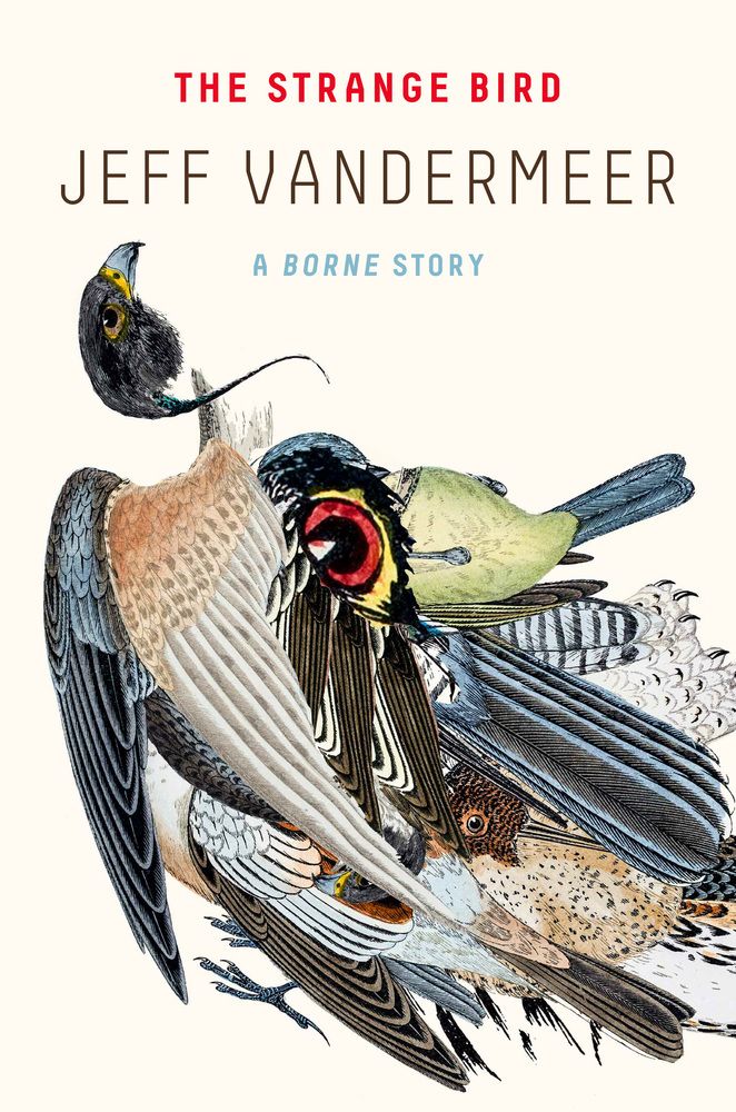 The Strange Bird, a novella that stabbed me in the ultra feels
the art is a collage of various bird parts and segments