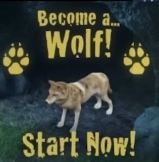BEOME A WOLF START NOW.jpg