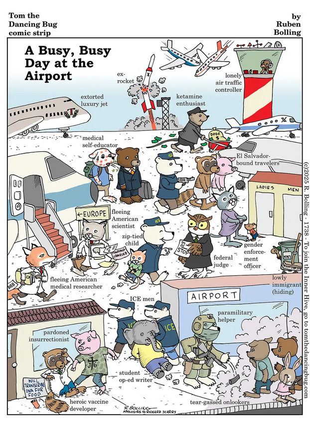 A cartoon showing various activity at an airport, including an extorted luxury jet, an exploding X rocket, a ketamine enthusiast wheeling a barrow of money to his plane, many ICE officers -- some taking people to an El Salvador plane, another with a zip-tied child being blocked by a federal judge -- scientists boarding a plane to Europe, a medical self-educator covered with pox, and more. All the people are represented by various animals. The story is made in the style of a Richard Starry children's book.  Alt text borrowed from Mastodon..