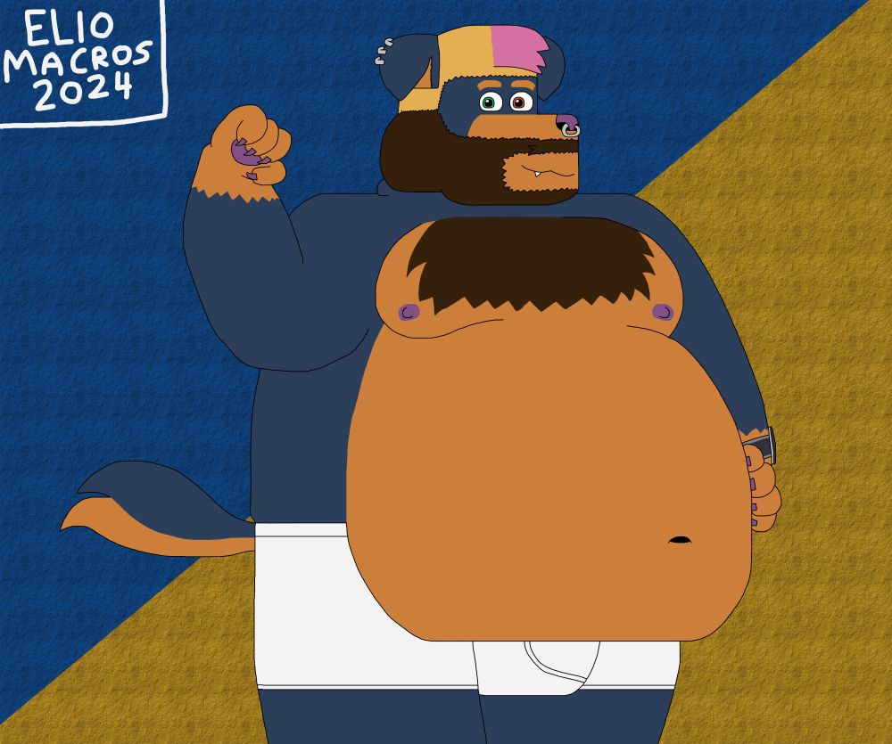 Big Rottweiler with a very big belly, he is only in his underwear.