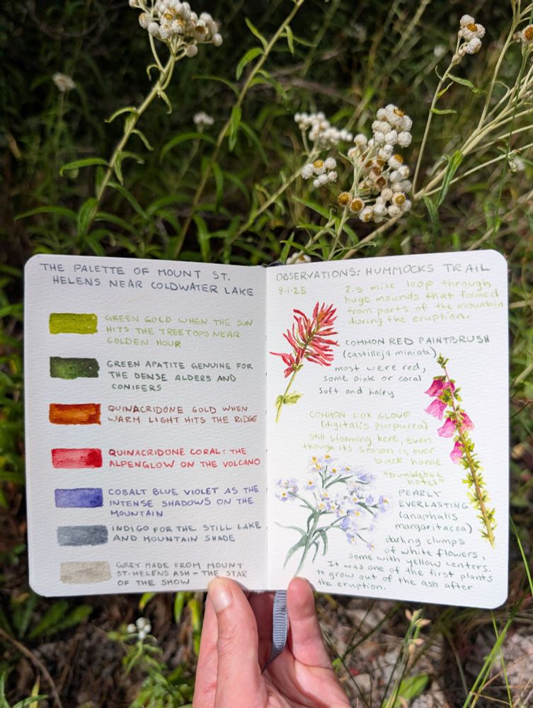 Page 1: flowers observed along the Hummocks trail at Mount St Helens North side. Red paintbrush, foxglove and pearly everlasting. Also a palette of Mount St. Helens - the colors mainly used in the journal 
