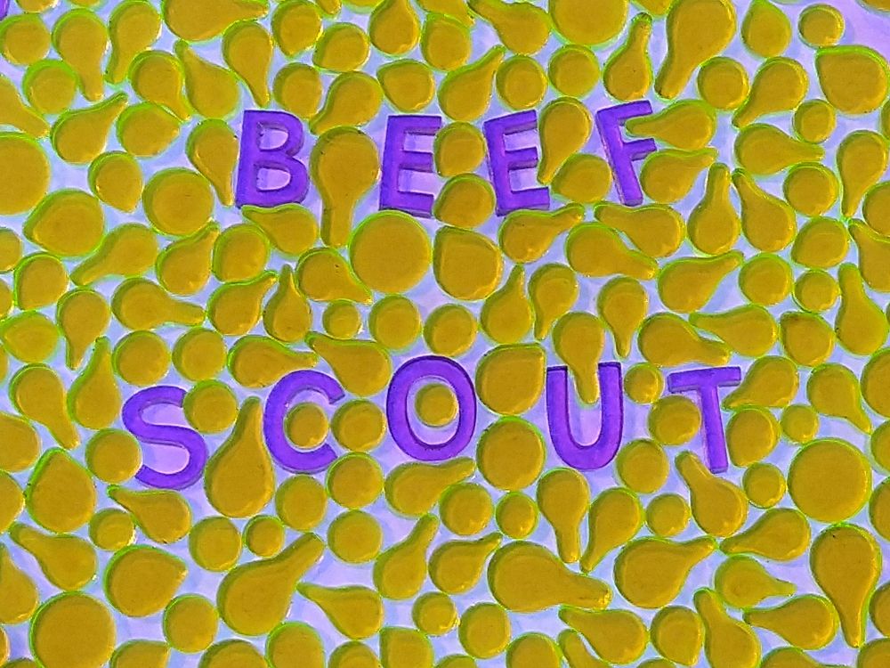 A photograph of purple acrylic letters in a bed of yellow pear-shaped acrylic cell silhouettes. The letters say, in all caps, beef scout.